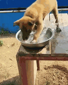 825376381569426399a470e0e9f484a8.gif