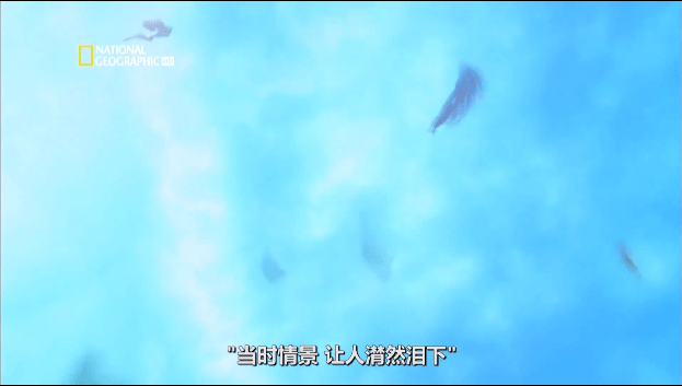 飞机|熊孩子带领俄航冲向宇宙，全机无人生还飞机变火箭