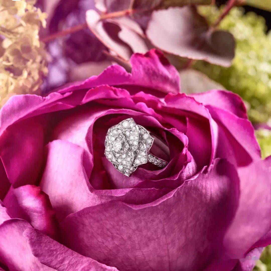 Piaget Rose