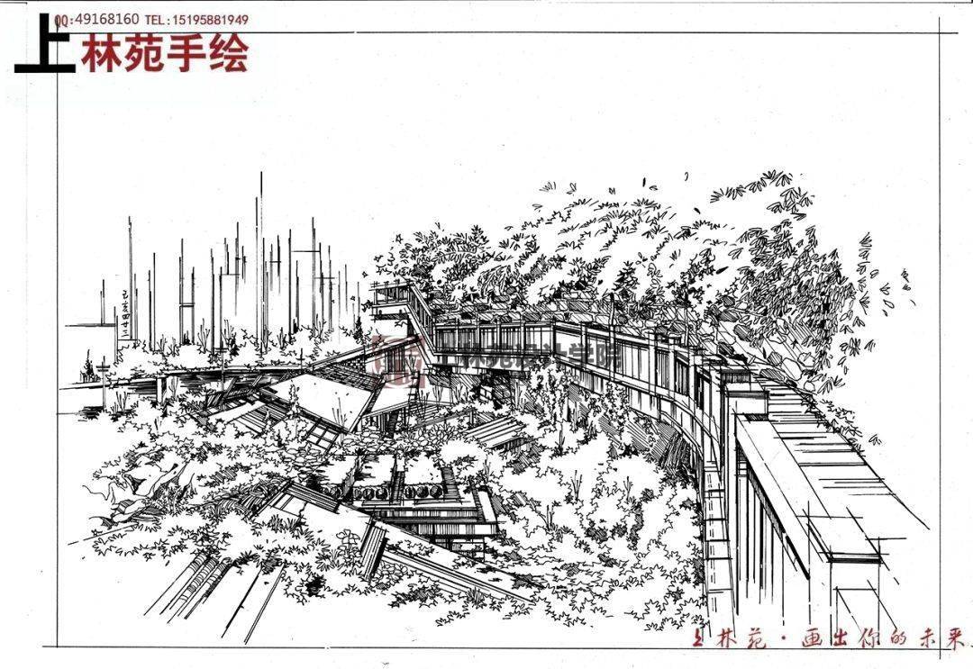 保姆级考研攻略上林苑考研全程班全新升级