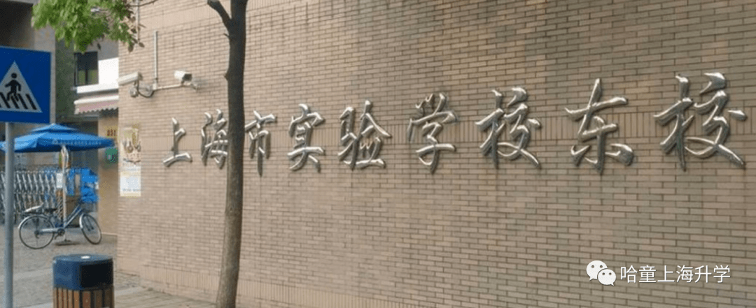 2021小升初系列(四):7个"华二",6个"上实",4个"位育",校名傻傻分不清