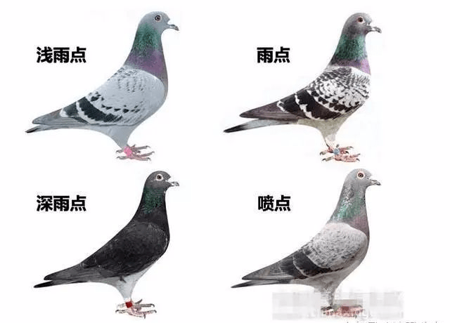 d09954b8ee6641b7a8524b1c2384ffe3.png