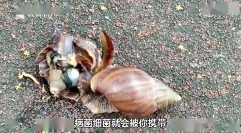 d135fa77bfe14ff789776c91370e8661.jpeg