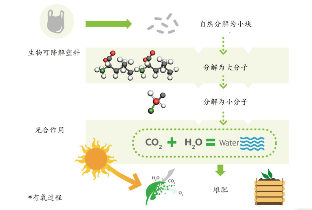 可降解塑料vs再生塑料谁更有效谁更环保