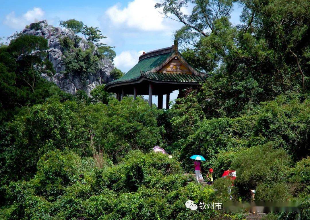 隐秘!张东升没有告诉你的六峰山