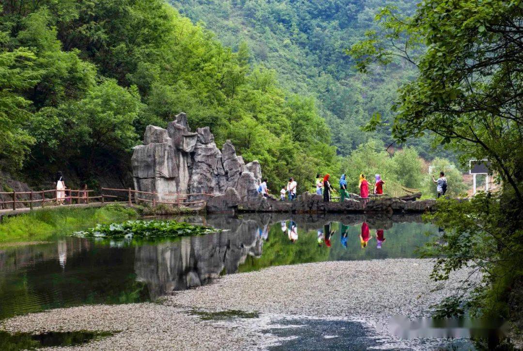 双龙湾景区位于河南省三门峡市卢氏县双龙湾镇,因屹立着大龙头,小龙