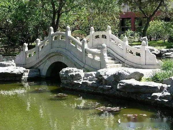 专业|北京语言大学：新增语言学等专业 绝大多数专业不限选考科目