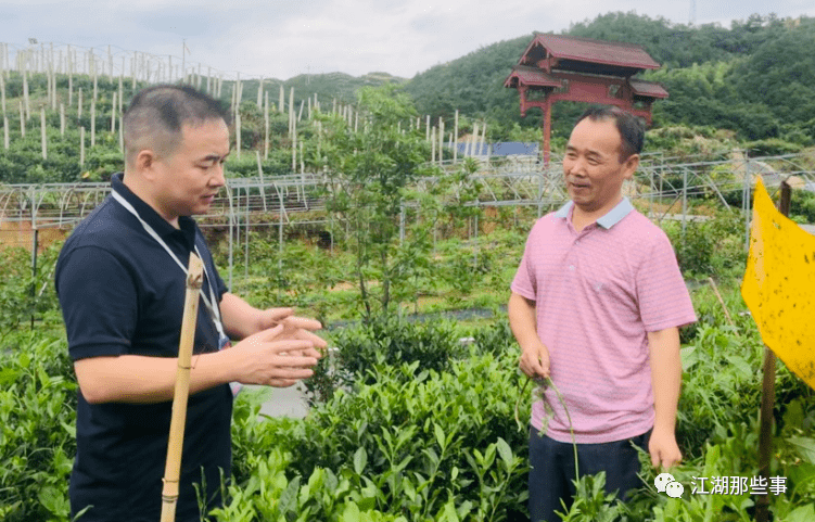 兴地方产业 替扶贫"造血"  平江县南江镇地处湘,鄂,赣3省交界处,总人