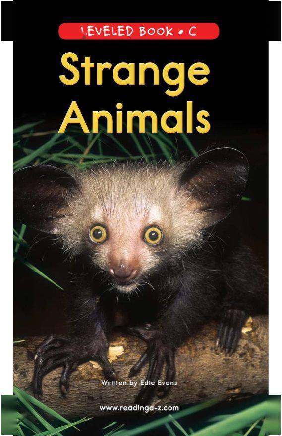 strange animals,farmanimals 【raz-c-63】strange animals