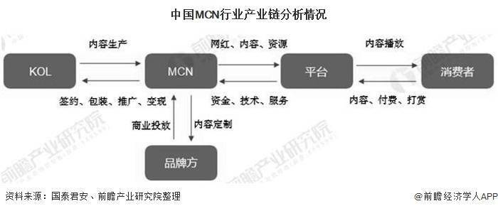 中国网红经济总量分析_2015中国年经济总量