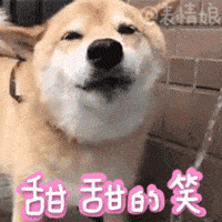 200_200gif 动态图 动图