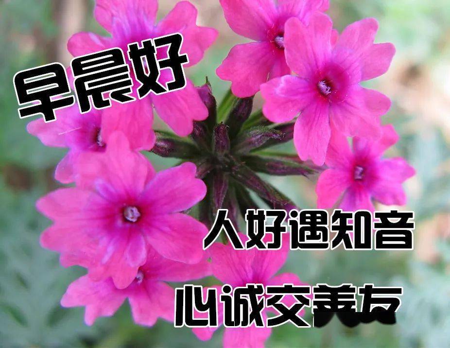 微信朋友圈特漂亮的早上好图片 早上好问候句子