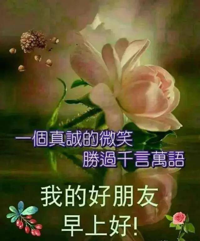 早晨安好:早晨第一个问候送给你,让你有个好心情,早晨