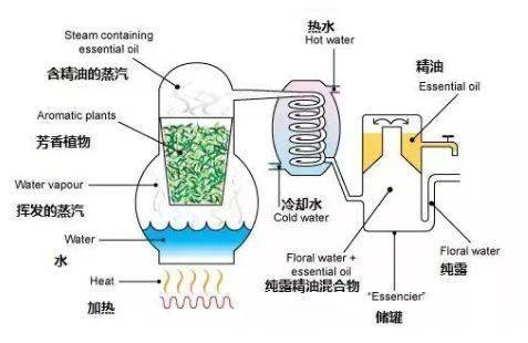 不医美不整容！娱乐圈女星私底下最爱的喝的ta，养颜嫩肤淡化皱纹，还能丰胸！明明是妈，却被认成姐姐！