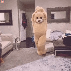 张杰和谢娜,张若昀和唐艺昕,我和白敬亭.