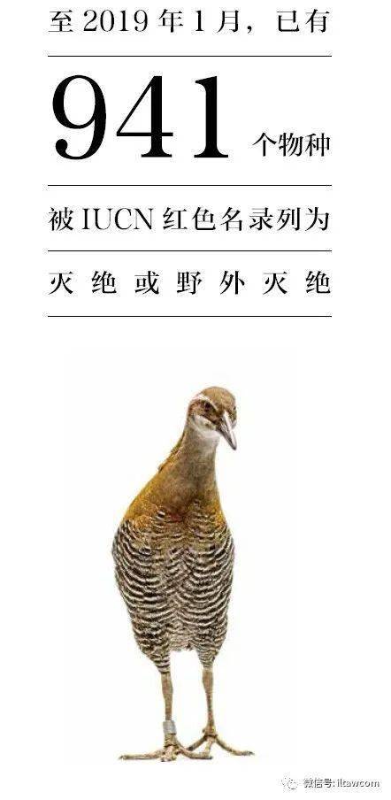3aa82e2adb38478e996ec9ee4b67498a.jpeg