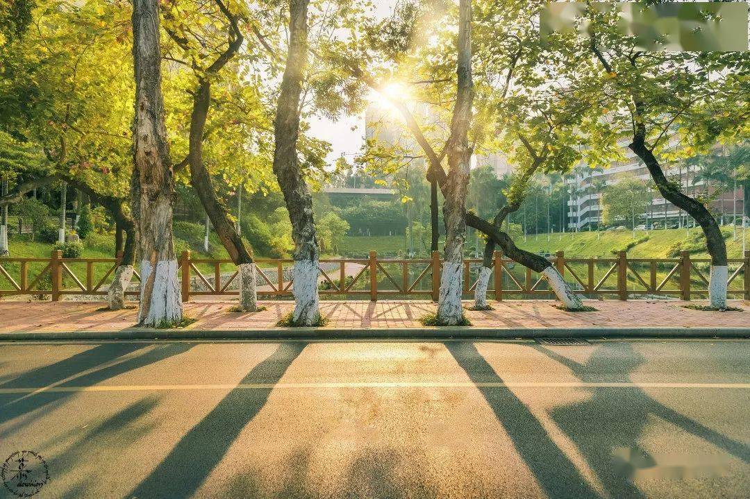 大学|提前看!高考考公办大学多少分?你考得上嘛?