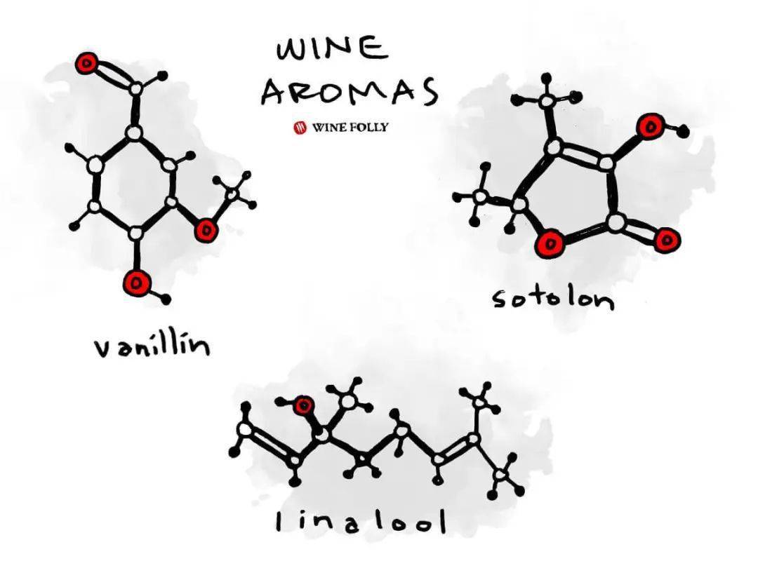 fruit|解惑丨为什么很难说得清葡萄酒中的香气呢？