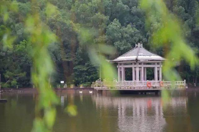 大学|提前看!高考考公办大学多少分?你考得上嘛?