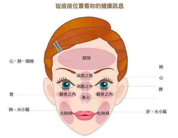 体内就会产生毒素,而胃经过面部,反射区在面部,当然疙瘩就长脸上了