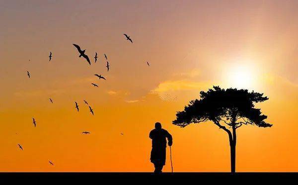 怎么样才能让自己变得坚强一点 5bd1acc4e51c48c490989a0e3e6f5ecb.jpeg