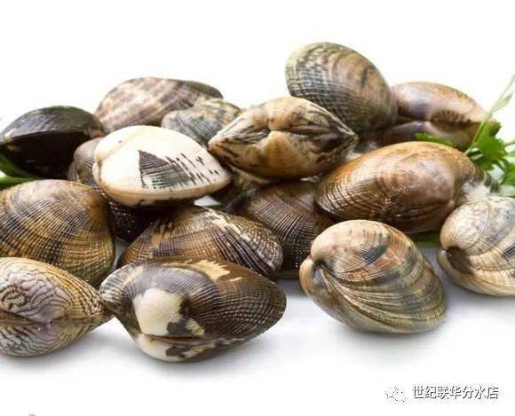 蛤蜊 15.98元/500g