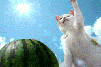 西瓜千万不能裹保鲜膜放冰箱,会中毒?