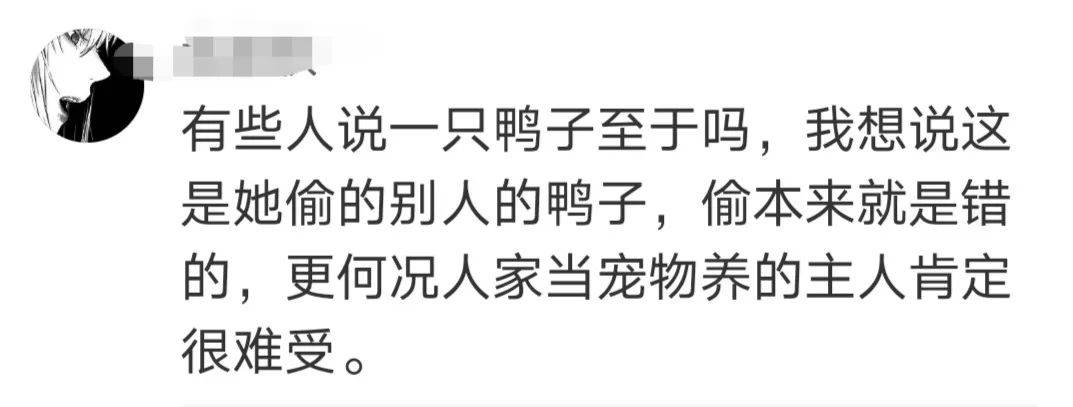 行为|宠物被拎走致死构成犯罪吗？专家释法“王珞丹微博寻宠物鸭”