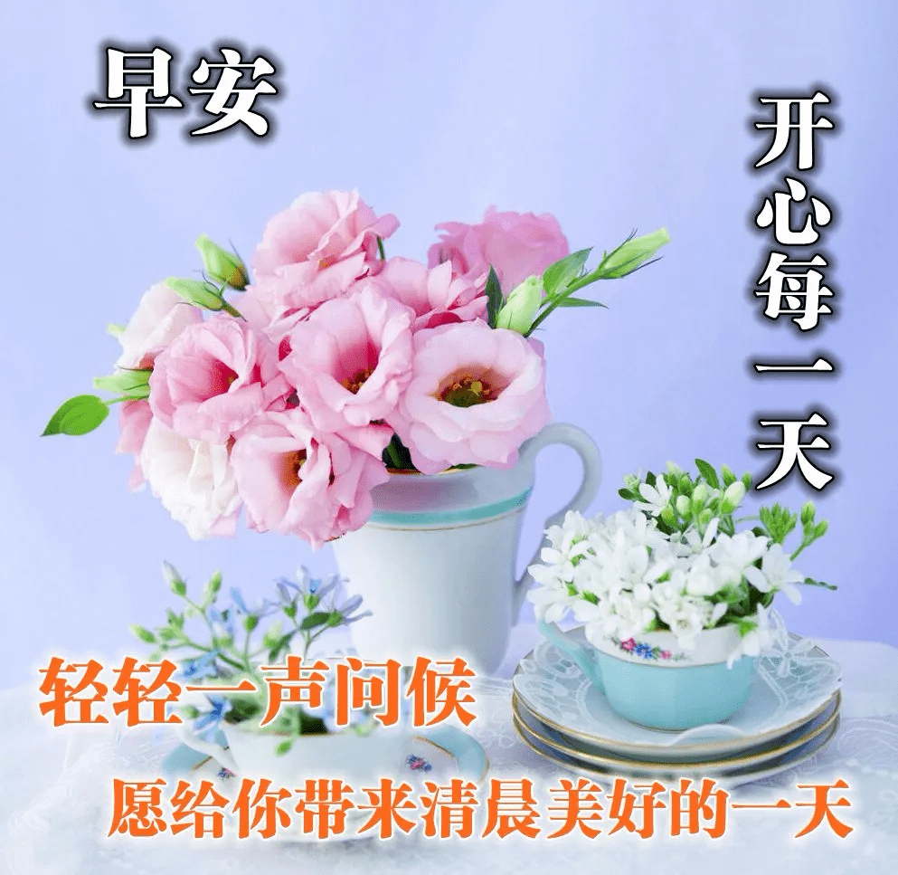 早上好,夏季早安祝福语鲜花图片大全,唯美早晨问候表情