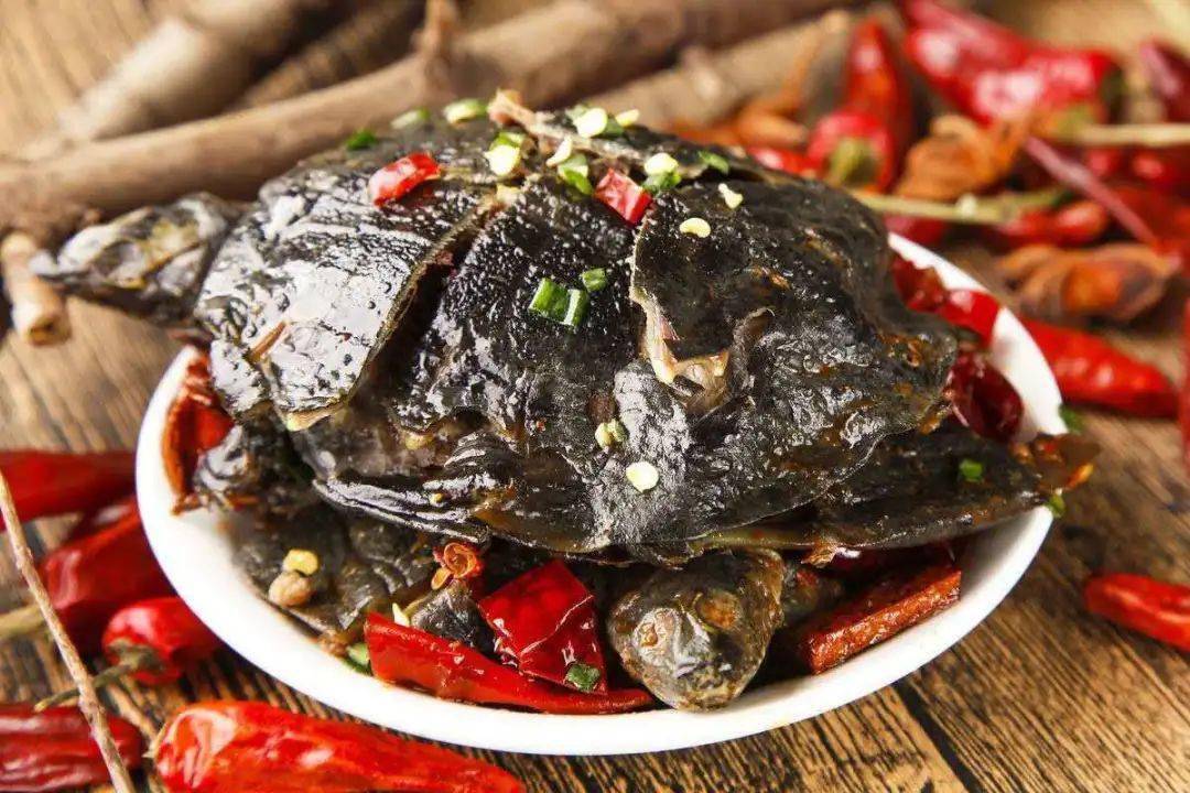 甲鱼壳磨粉每天怎么吃
