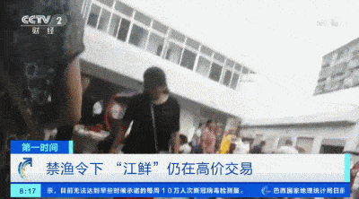 药丸|触目惊心！记者夜探汉江，“红色药丸”非法捕鱼猖狂！这样的高价“江鲜”，你敢吃吗？