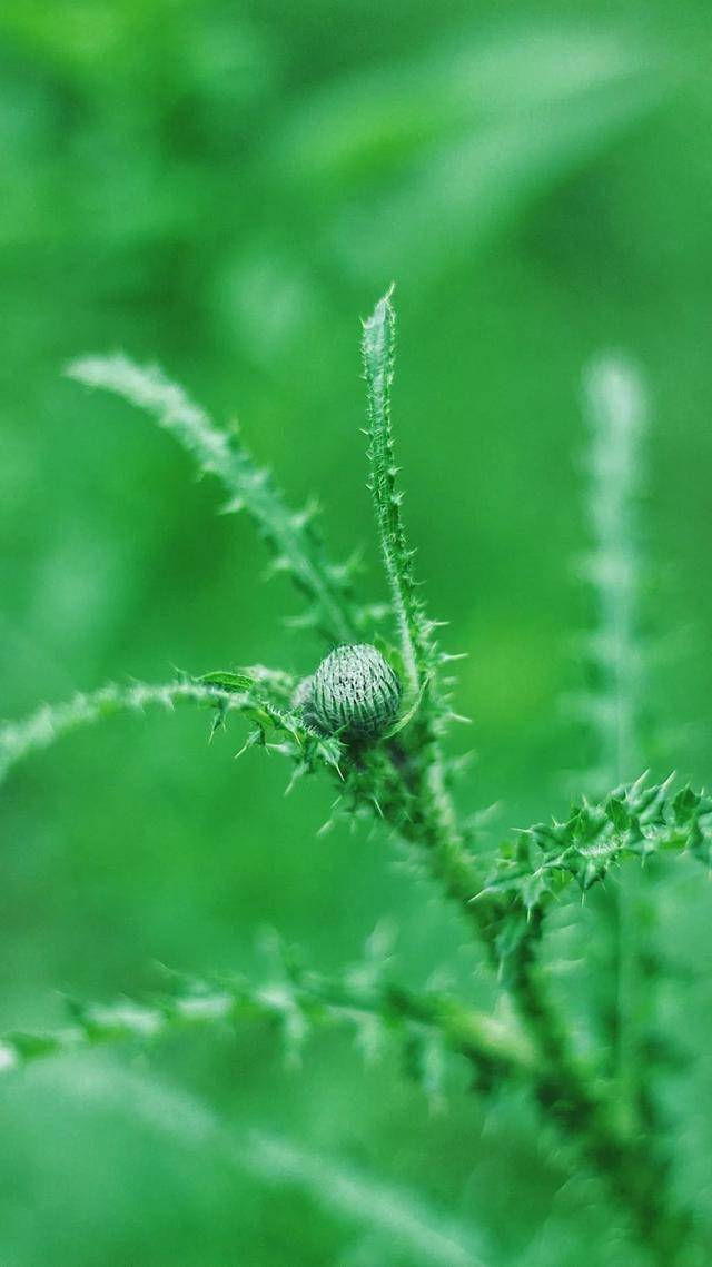 临夏这组"最夏天"的壁纸,全部都要用一遍!_屏保