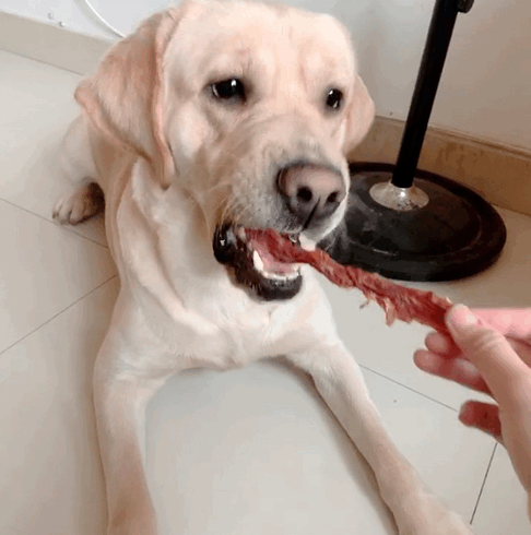 MeatyWay|教你选出“不吃亏”的零食宠物零食挑花眼？简单5步