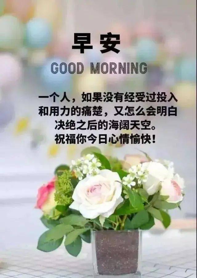 想开,便是晴天,释怀,才能心安!早上好