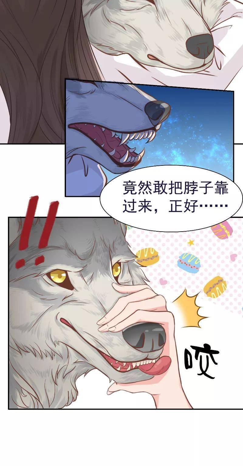 77漫画大全 大王请跟我造狼》77