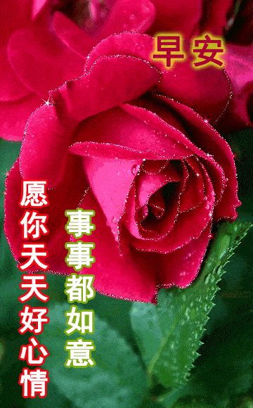 7月6日最漂亮早上好动态表情图片大全,早晨好动图美图