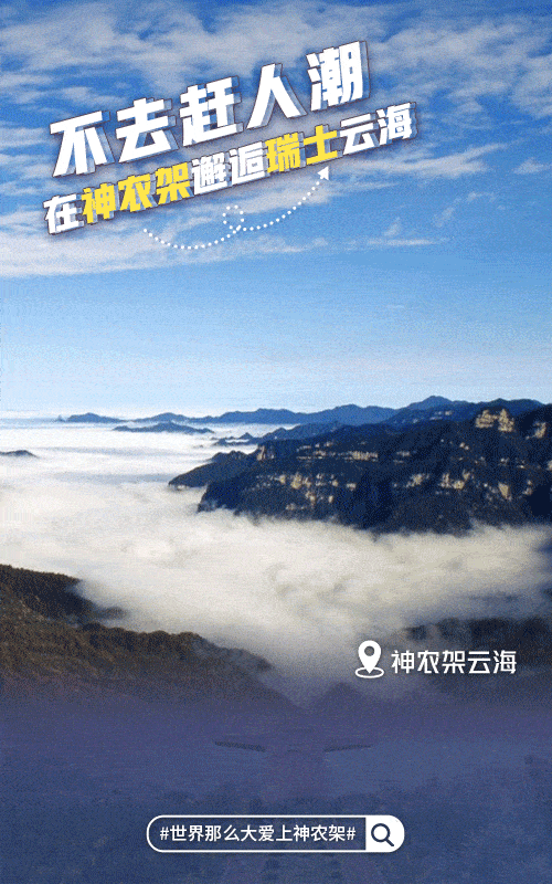 500_800 竖版 竖屏