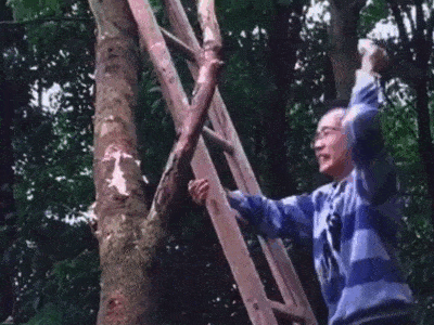 一位开心的程序员正在修bug~  ▼