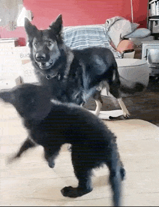 320_417 竖版 竖屏