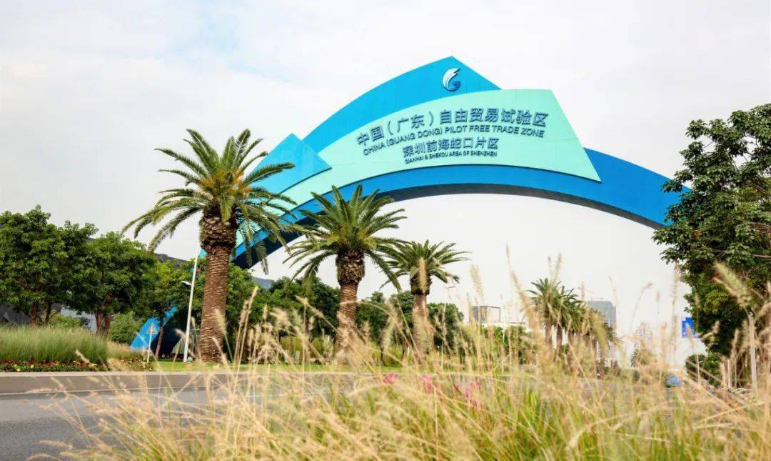 2021年前海经济总量_2021年日历图片