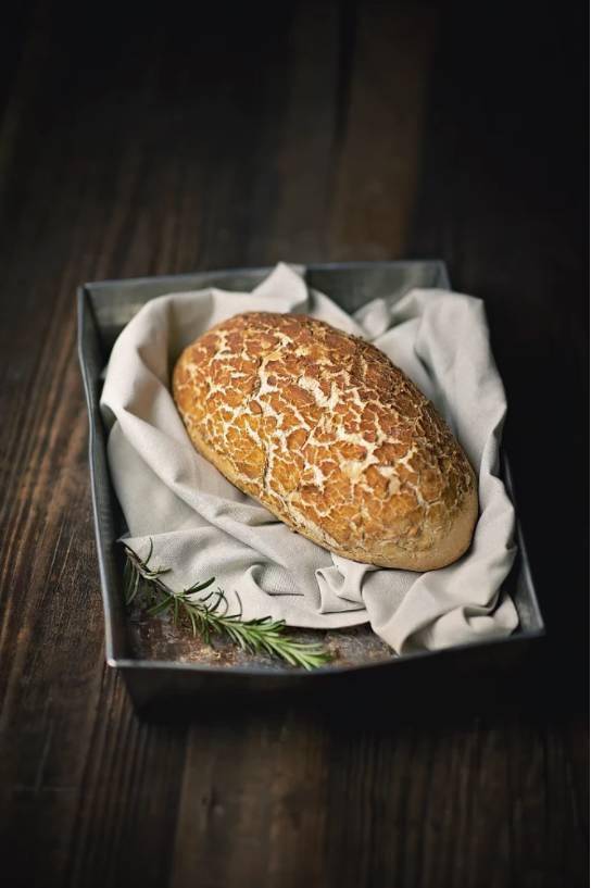 netherlands   tiger bread