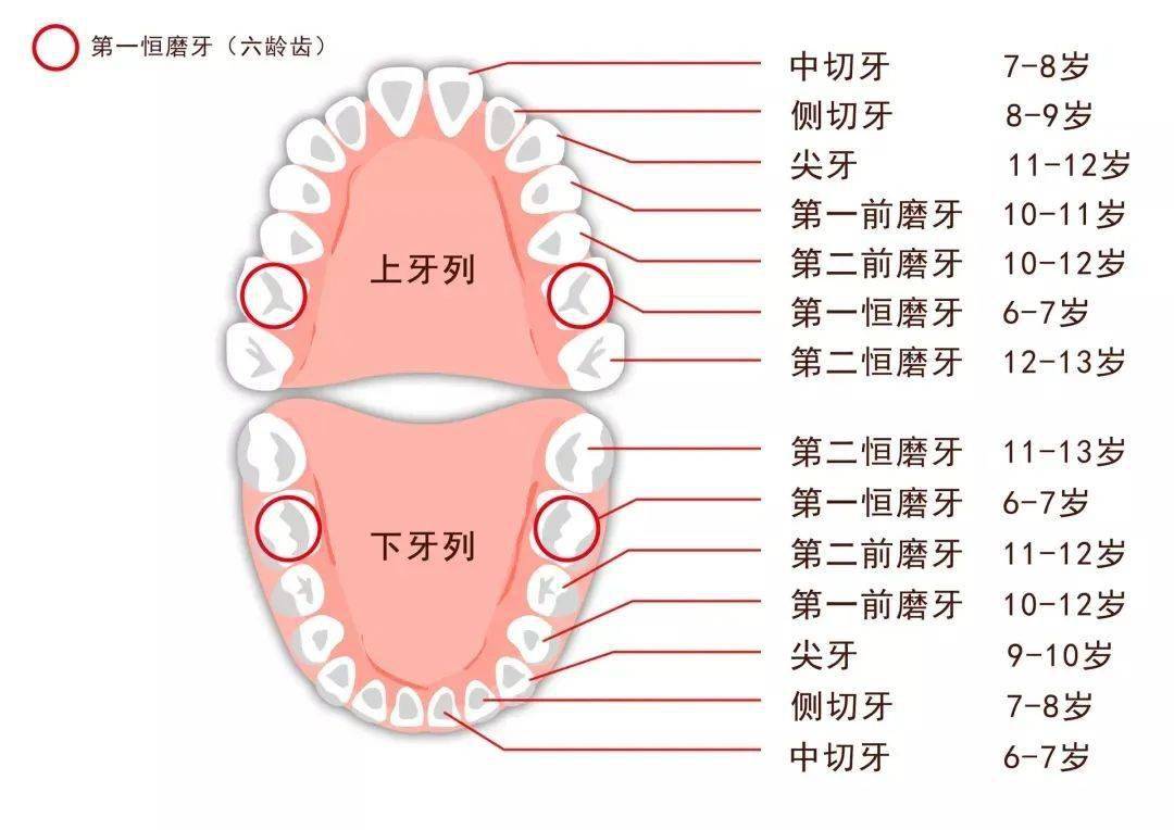 "孩子长了双排牙,我后悔莫及":最伤孩子牙齿的不是糖