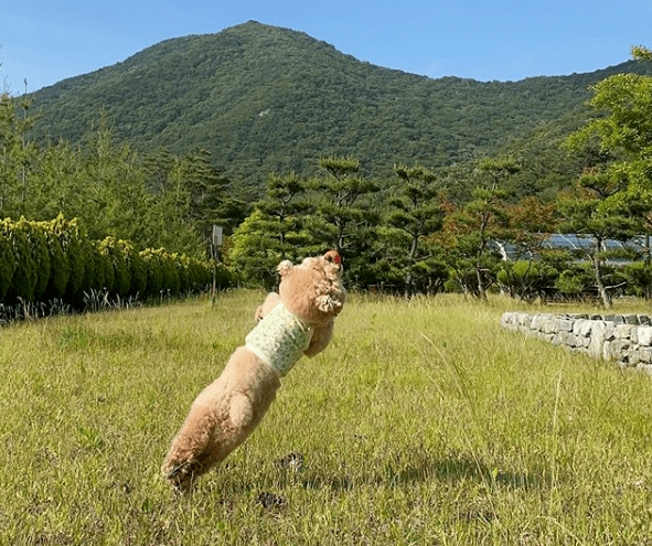 嘿!接住啦!球来了!