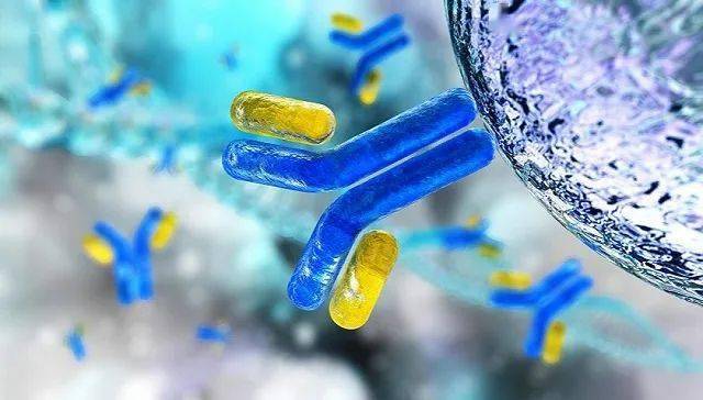 再生元|美国政府买了4.5亿美元的“鸡尾酒式新药”治新冠