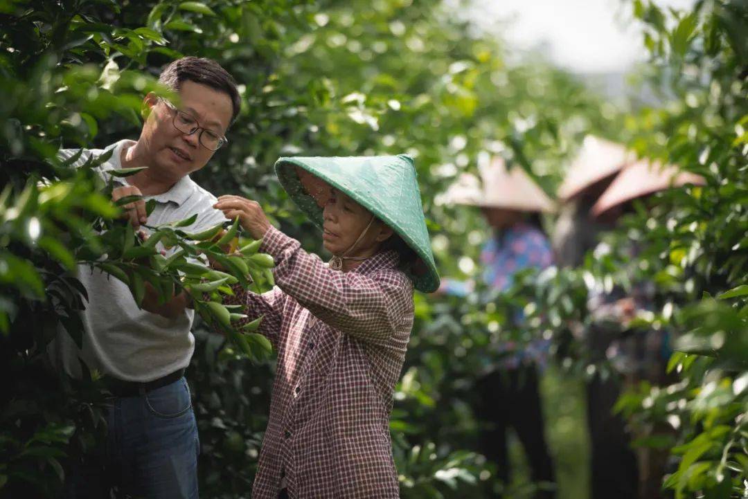 东风公司帮扶的8县市全部脱贫摘帽