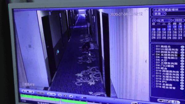 高考|2020年的这场高考，我永远都不会忘记……