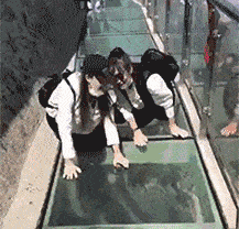 精选搞笑GIF:皇上你的龙轿呢?