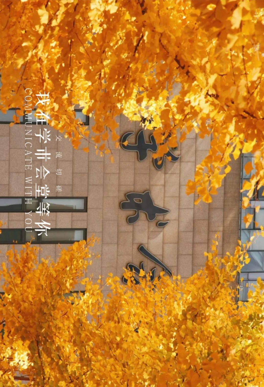 风里雨里,中央财经大学等你!