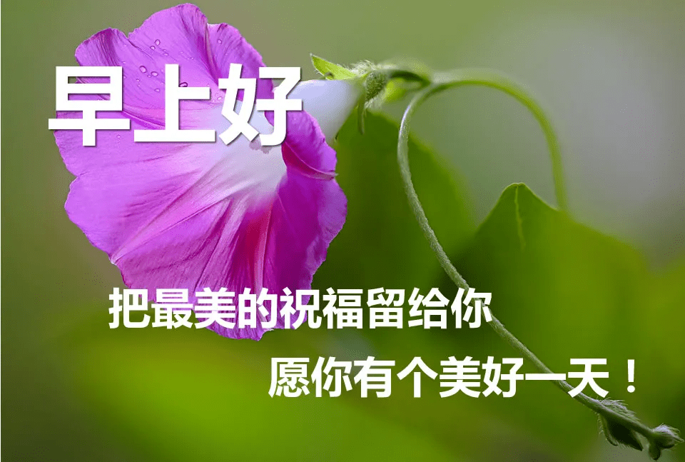 早上好关心朋友的甜蜜句子带图片,清晨最暖心的早安问候句子带字图片