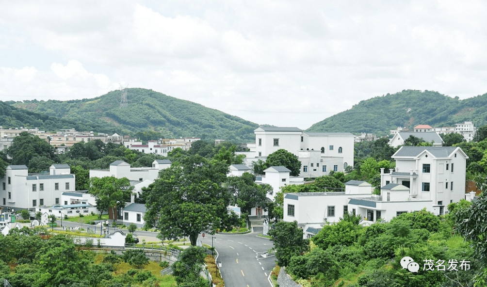 高州市民请为家乡投一票,茂名和湛江《乡村振兴大擂台》pk_元坝